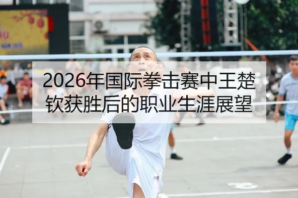 2026年国际拳击赛中王楚钦获胜后的职业生涯展望