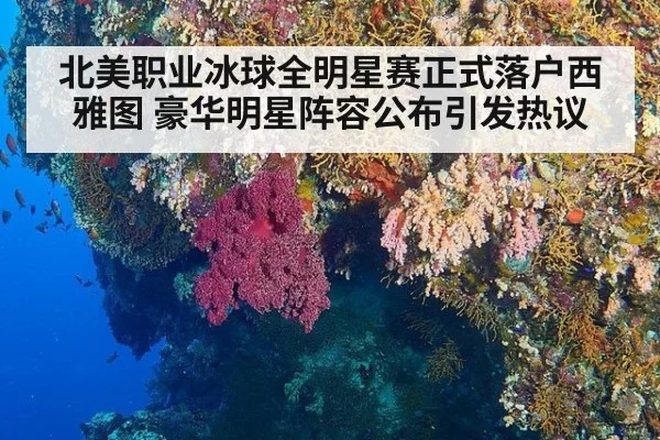北美职业冰球全明星赛正式落户西雅图 豪华明星阵容公布引发热议